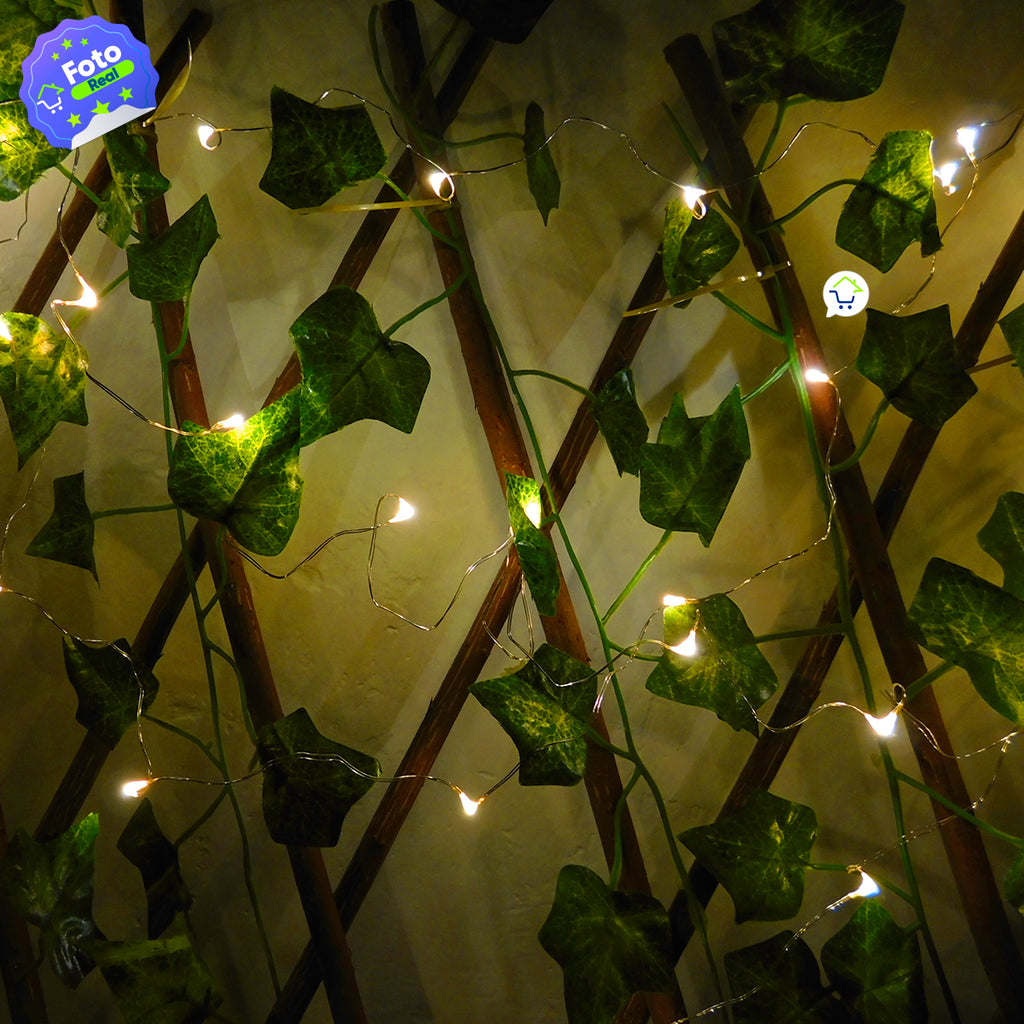 Luces Micro Led Pila 5 M TX50B-W-S