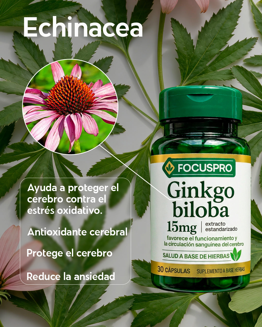 FOCUS PRO - Ginkgo biloba - Compra 3 y llávate 6
